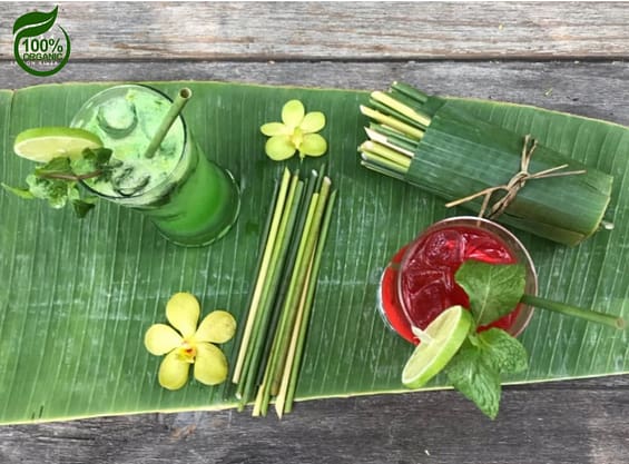 Grass Drinking Straws